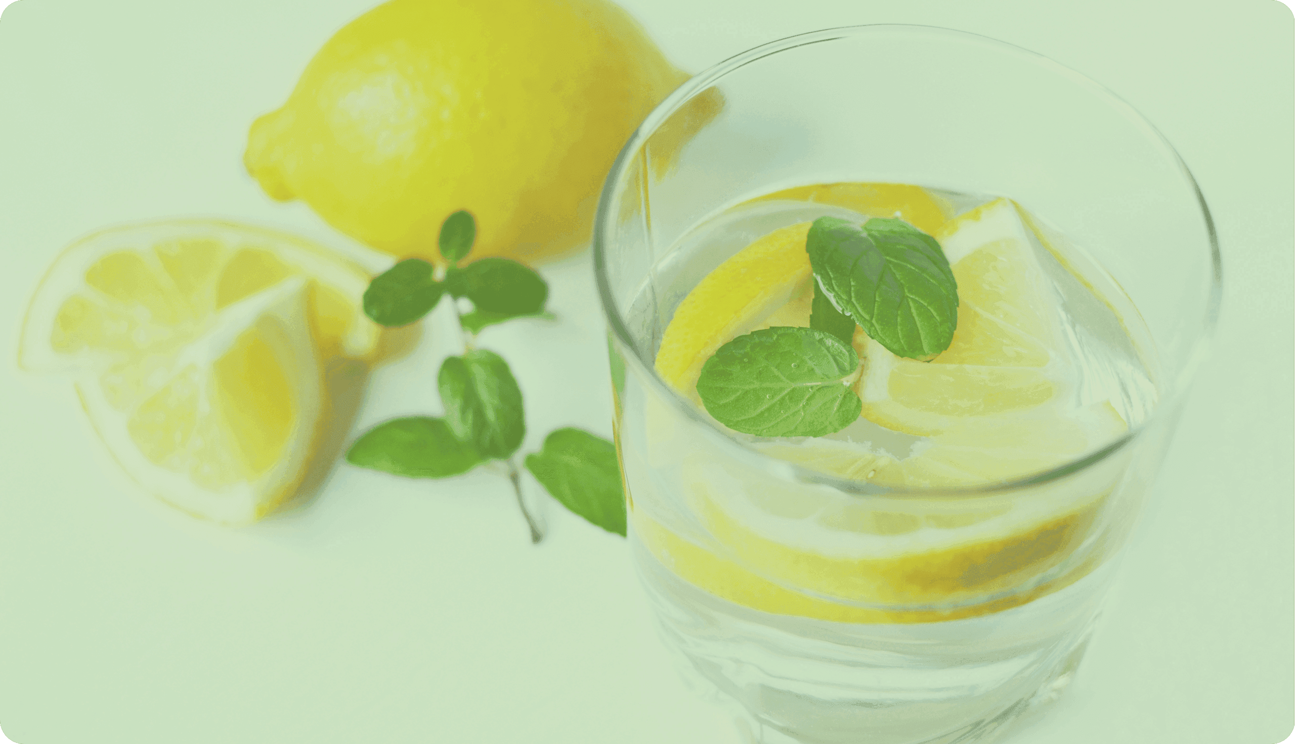 Glas mit Zitronenwasser, Minze und frischen Zitronenscheiben.