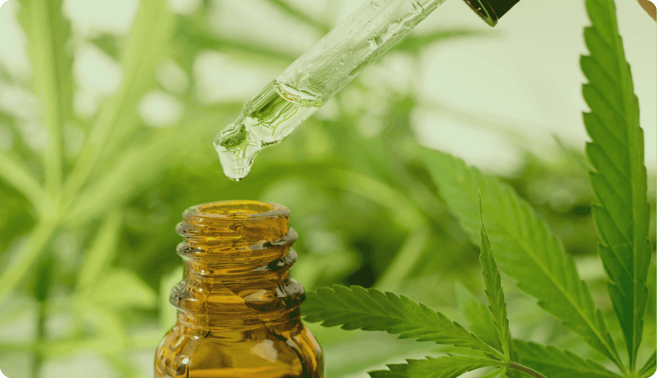 Pipetten-Flasche mit Cannabisblättern im Hintergrund